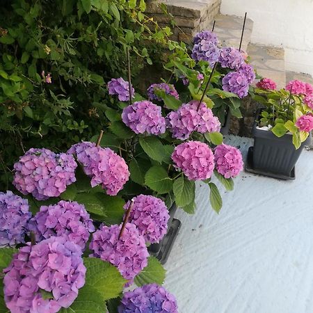 Scorpios Hotel & Suites Samos Town Luaran gambar