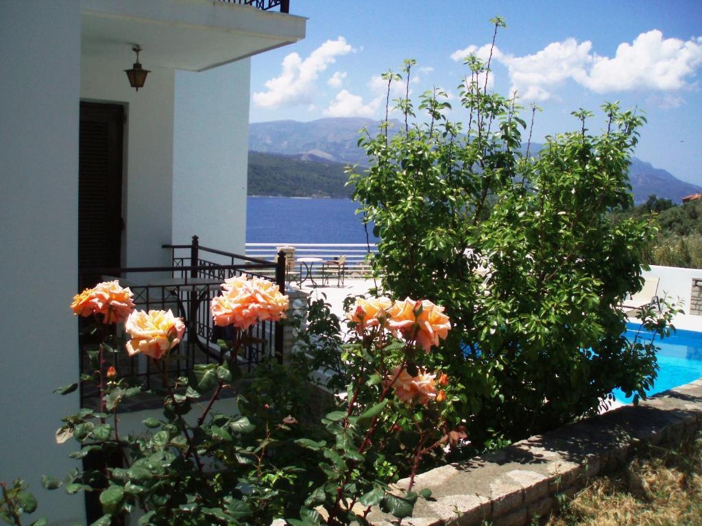 Scorpios Hotel & Suites Samos Town Bilik gambar