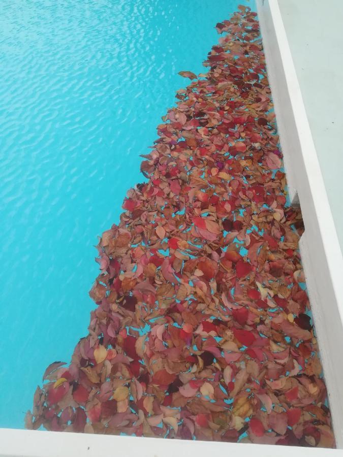 Scorpios Hotel & Suites Samos Town Luaran gambar