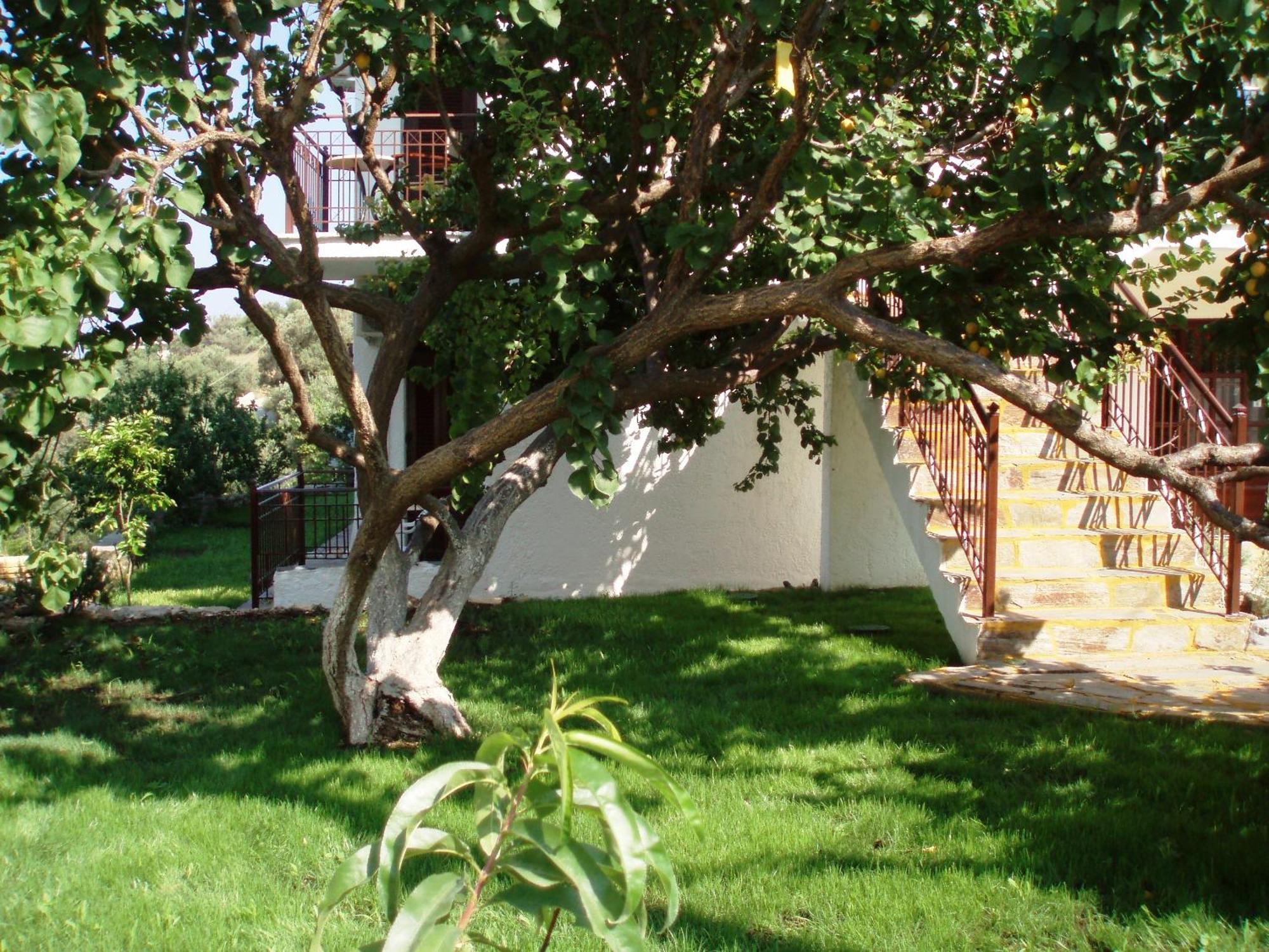 Scorpios Hotel & Suites Samos Town Luaran gambar